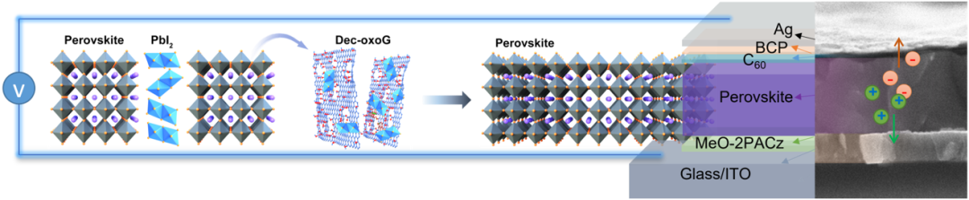 Angew. Chem. ：功能化石墨烯纳米片管理碘化铅以提高钙钛矿太阳能电池稳定性