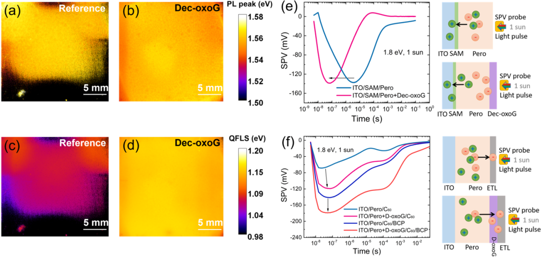 Angew. Chem. ：功能化石墨烯纳米片管理碘化铅以提高钙钛矿太阳能电池稳定性