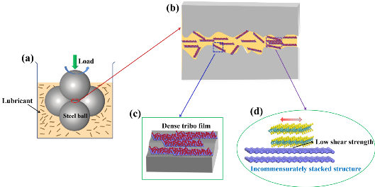 西南交大《Carbon》：优异的抗磨损性能！成功开发石墨烯@MoS2异质结-工业润滑油
