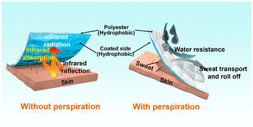 五邑大学《ACS ANM》：石墨烯纳米粉体疏水流体二极管织物，可在寒冷天气下同时进行热和水分管理