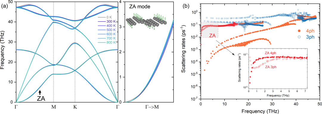 (纯计算)美国普渡大学Phys. Rev. B: 单层石墨烯的热导率