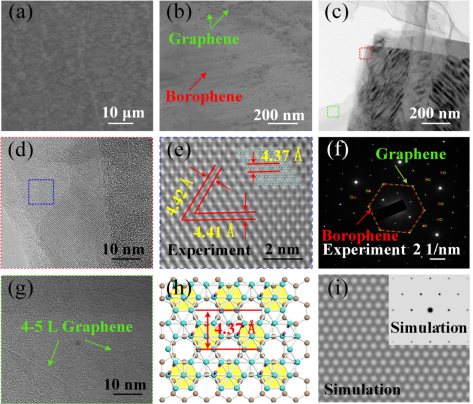 Nano Res.[器件]│台国安教授课题组：硼烯-石墨烯异质结的制备及其高效宽带光电探测器