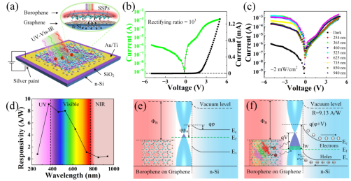 Nano Res.[器件]│台国安教授课题组：硼烯-石墨烯异质结的制备及其高效宽带光电探测器