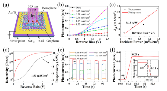 Nano Res.[器件]│台国安教授课题组：硼烯-石墨烯异质结的制备及其高效宽带光电探测器