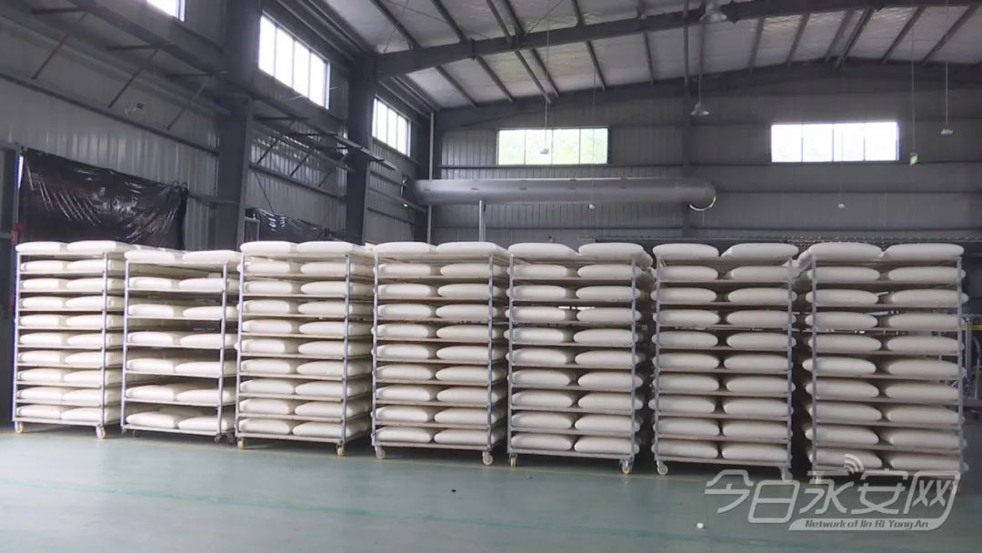 抓招商 抓项目 抓发展｜永安梦康石墨烯家居科技有限公司记忆枕生产线有序投产