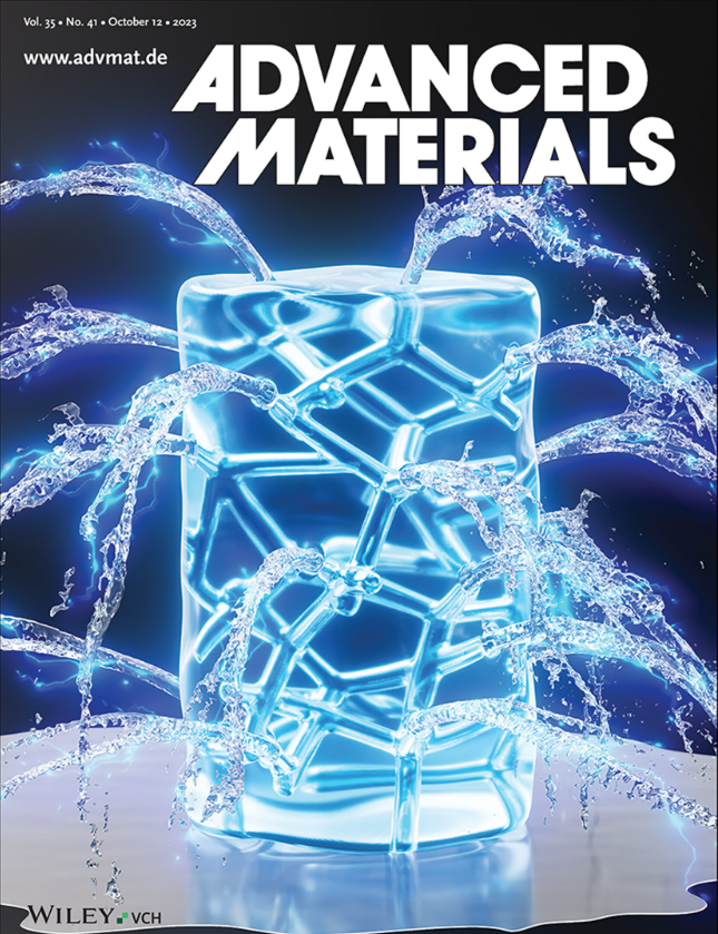 德国基尔大学《AM》封面：微管石墨烯网络可克服水凝胶中水扩散限制以实现软致动器