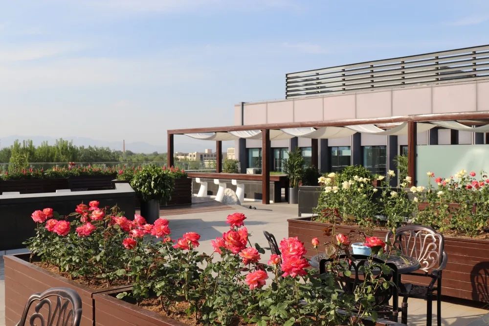 招贤纳士丨北京石墨烯研究院—石墨烯热管理技术研究中心招聘启事