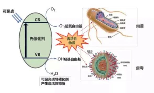 病毒灭活率99.9%！华东师大重庆研究院这个“黑科技”除菌产品投用啦