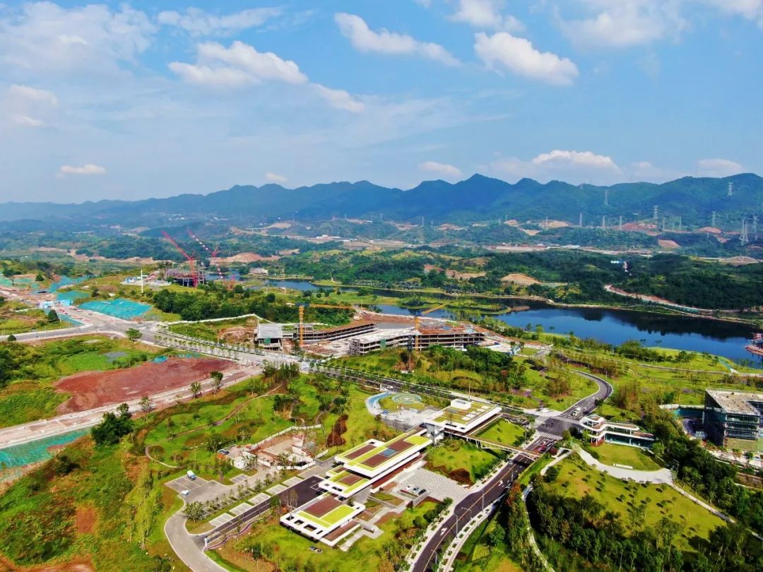 病毒灭活率99.9%！华东师大重庆研究院这个“黑科技”除菌产品投用啦