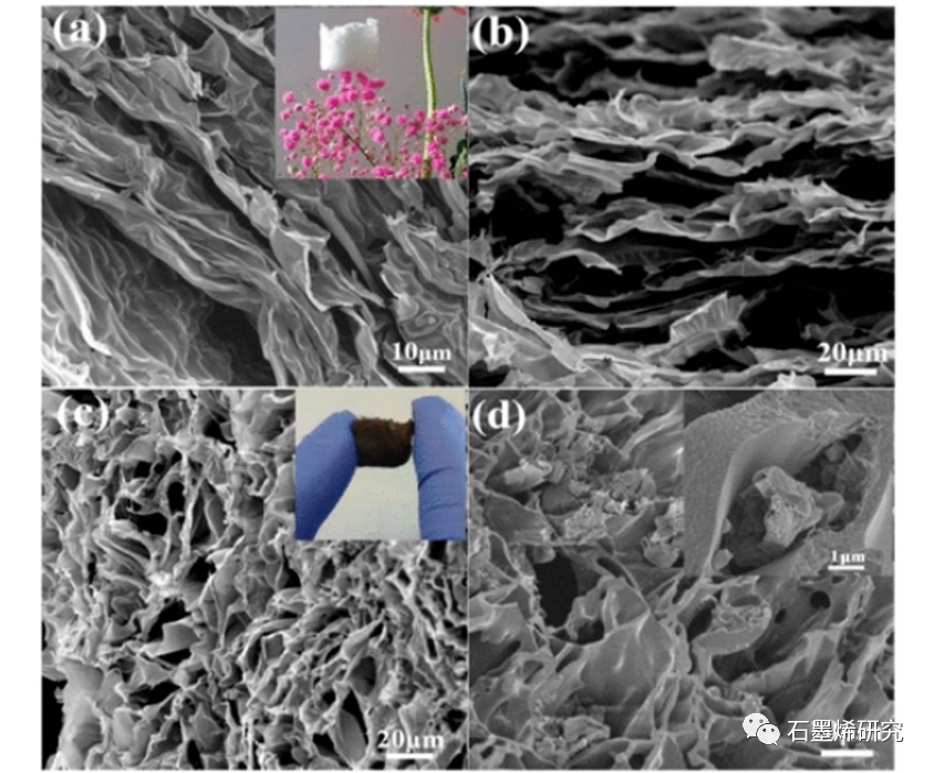 枣庄学院Dandan Zhu和Yanxin Yu等--石墨碳复合泡沫氮化碳具有超两亲性和增强热稳定性的纳米原纤维