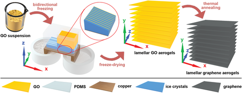 北化李晓锋/于中振《AFM》超灵敏压力/弯曲传感器双向冷冻软而弹性层状石墨烯气凝胶的合理设计