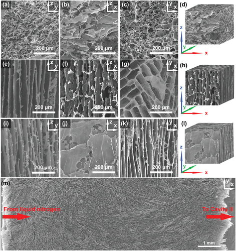 北化李晓锋/于中振《AFM》超灵敏压力/弯曲传感器双向冷冻软而弹性层状石墨烯气凝胶的合理设计