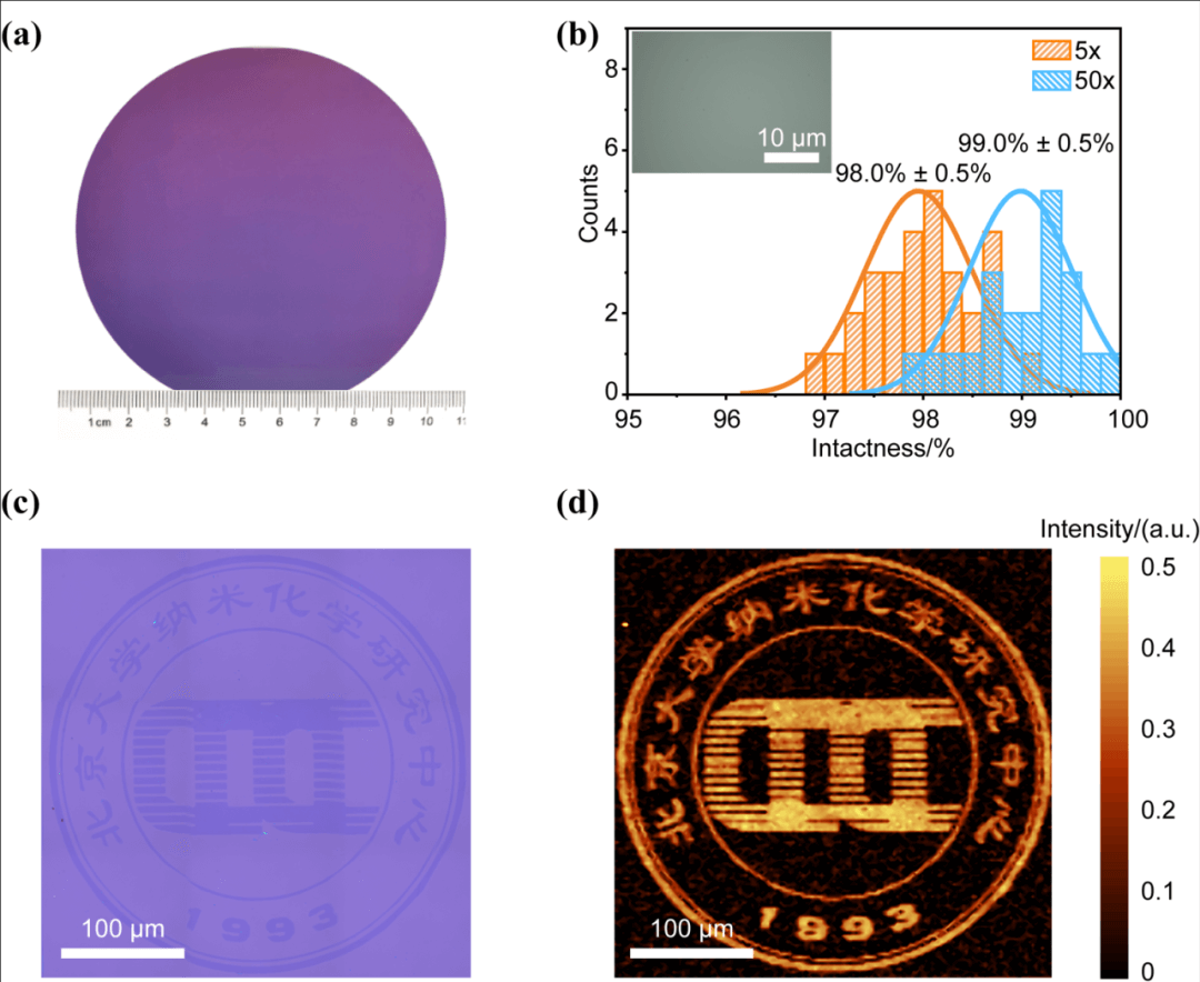 北京大学刘忠范和林立团队：光刻胶辅助的石墨烯晶圆无损转移