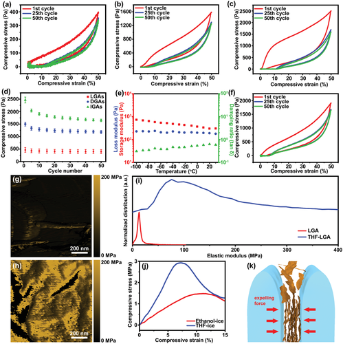 北化李晓锋/于中振《AFM》超灵敏压力/弯曲传感器双向冷冻软而弹性层状石墨烯气凝胶的合理设计