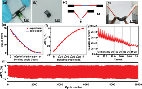 北化李晓锋/于中振《AFM》超灵敏压力/弯曲传感器双向冷冻软而弹性层状石墨烯气凝胶的合理设计