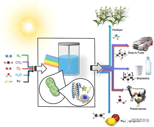 【CO2转化】ACS AMI：利用石墨烯量子点纳米生物混合体中的大气二氧化碳和阳光来制造碳负和碳中性产品—Yuchen Ding