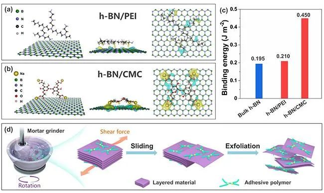 清华深圳国际研究生院刘碧录团队《Mater. Today》：在高质量二维材料的规模化制备及应用方面取得新进展