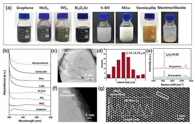 清华深圳国际研究生院刘碧录团队《Mater. Today》：在高质量二维材料的规模化制备及应用方面取得新进展