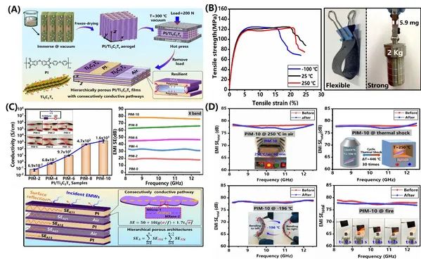 复旦大学叶明新/沈剑锋团队《Sci.Adv.》:研发高性能超轻电磁屏蔽薄膜