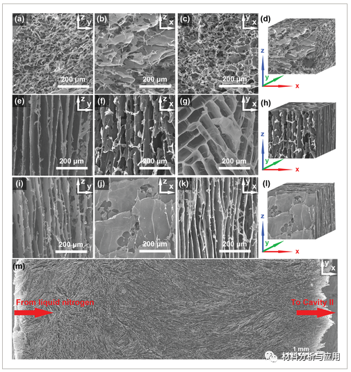 北化《Adv. Funct. Mater》：通过双向冷冻层状石墨烯气凝胶，用于超灵敏压力和弯曲传感器