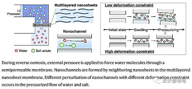 欧米伽书评|Nat. Commun. |氧化石墨烯纳米通道的限制变形研究