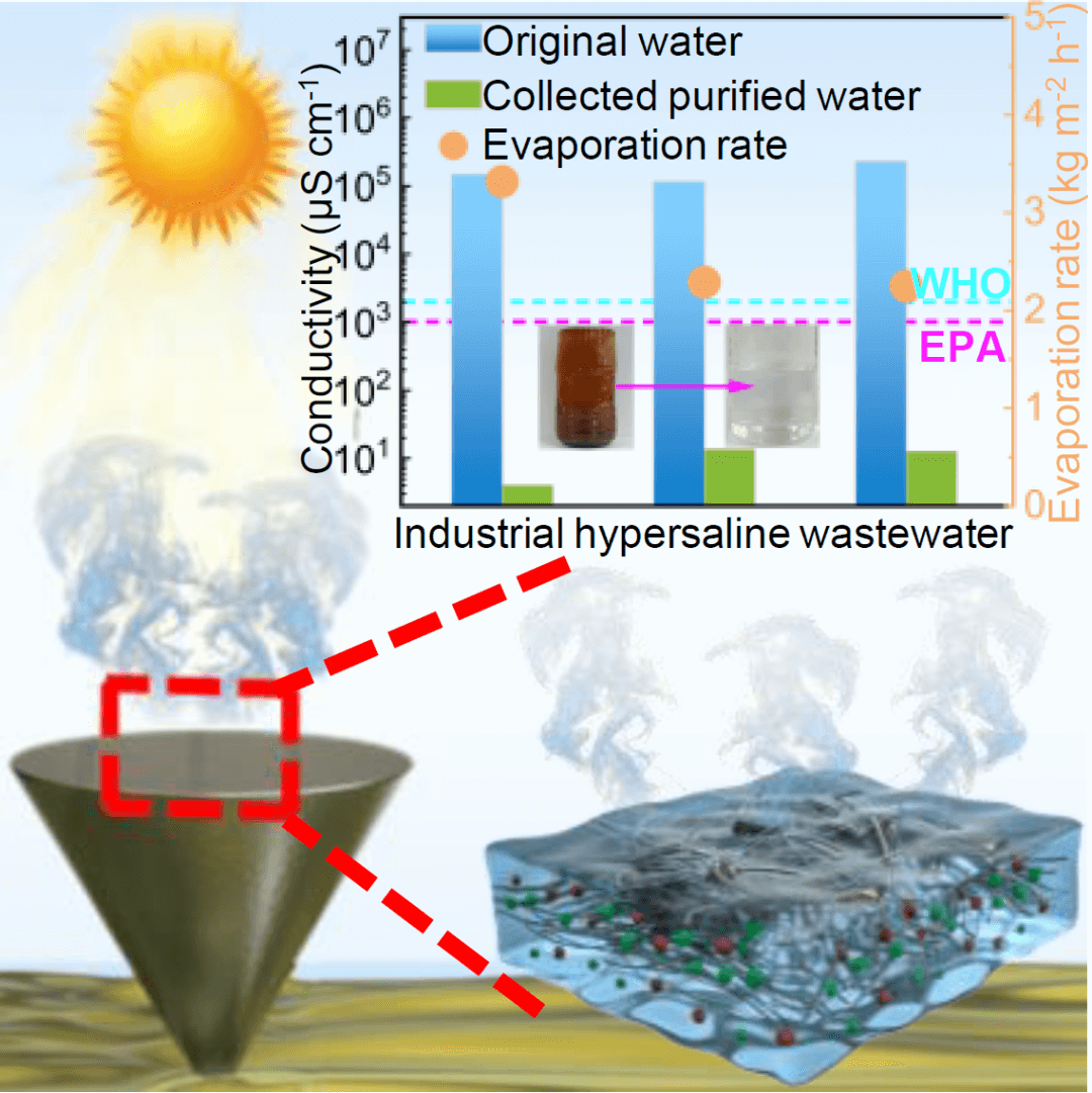 SCMs|具有层级互联孔道的拒盐碳气凝胶太阳能蒸发器用于高盐废水处理
