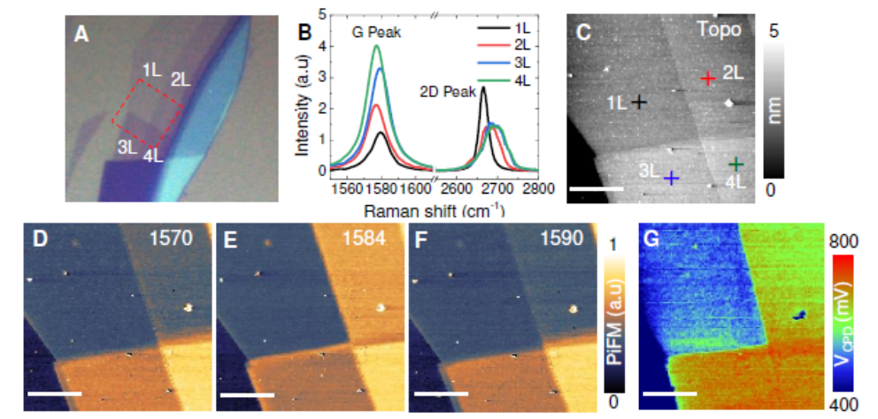 Light | 光电力纳米显微镜探测双层石墨烯异常红外声子增强