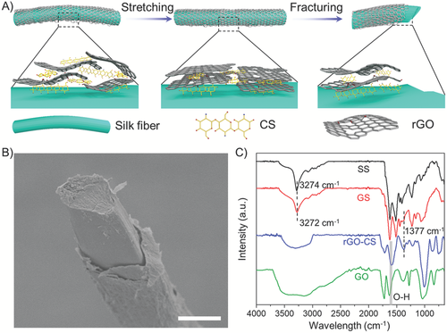北航程群峰《AFM》：给蚕丝披上“石墨烯外衣”，摇身一变成传感器！