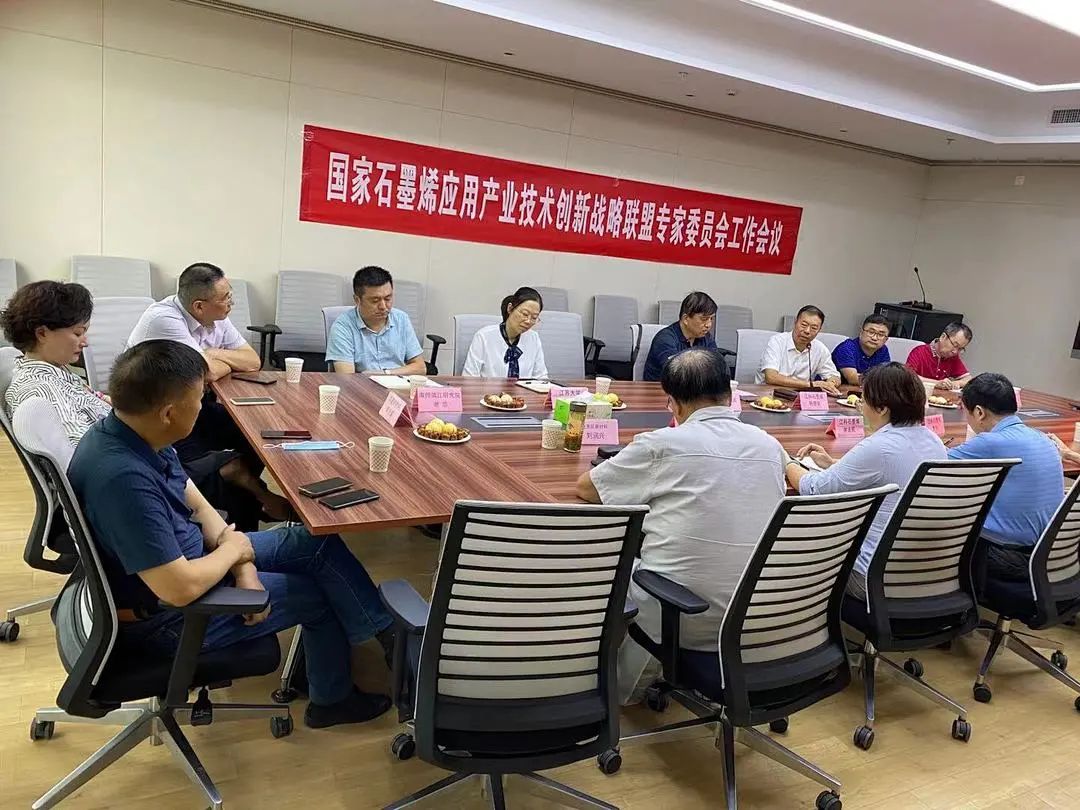 国家石墨烯应用产业技术创新战略联盟专家委员会工作会议