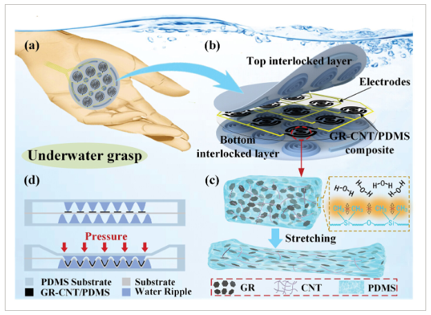 浙江大学《AMT》：基于防水石墨烯/碳纳米管/PDMS复合材料的新型柔性水生触觉传感器