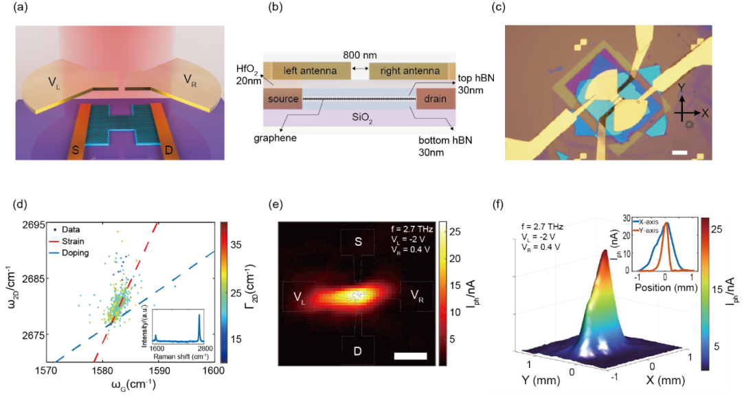 物理化学学报 | 北京大学尹建波团队：耦合蝶形天线的石墨烯室温太赫兹探测器