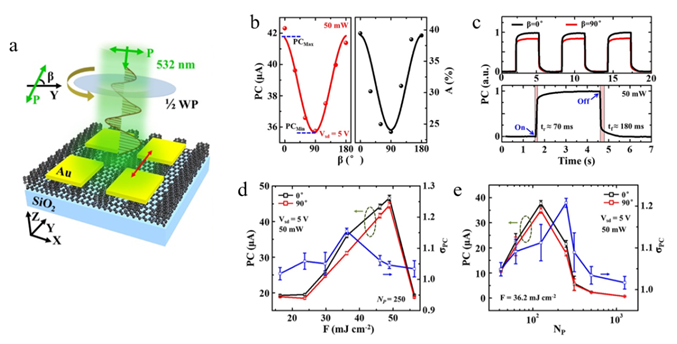 Nano Res.│飞秒激光促使氧化石墨烯呈现光电各向异性研究取得新进展