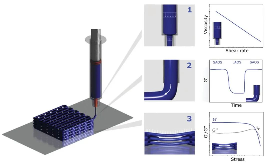 浙江大学高超教授团队SUSMAT综述：3D打印制备高性能石墨烯基能量转储材料