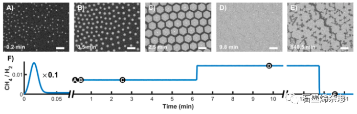荷兰莱顿大学Irene M. N. Groot课题组--液态铜上生长石墨烯：实时多尺度监控和定制