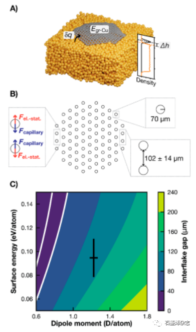荷兰莱顿大学Irene M. N. Groot课题组--液态铜上生长石墨烯：实时多尺度监控和定制