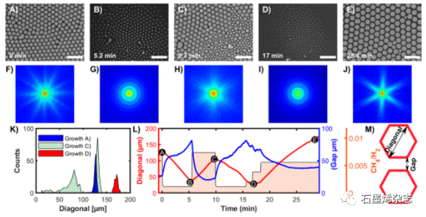 荷兰莱顿大学Irene M. N. Groot课题组--液态铜上生长石墨烯：实时多尺度监控和定制