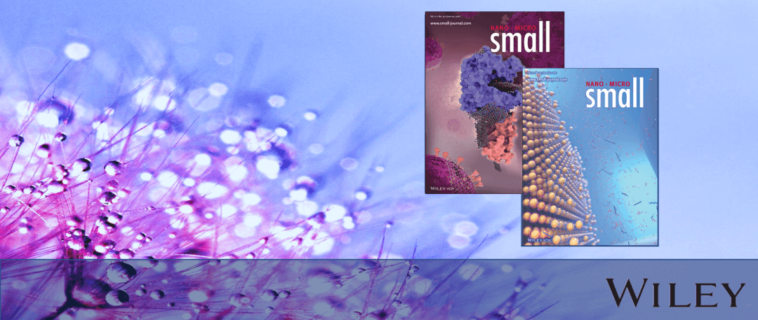 哈工大潘昀路、郝壮等Small：基于核酸适配体的双通道石墨烯场效应管智能生物传感装置