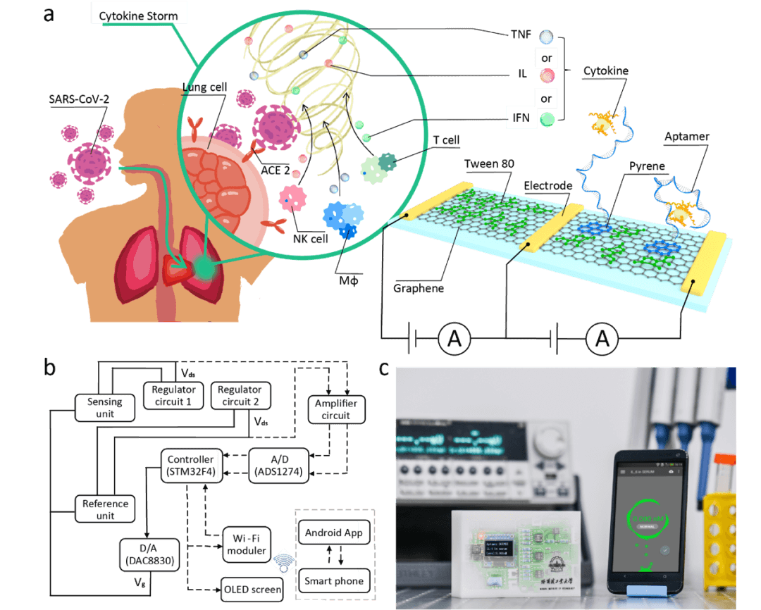 哈工大潘昀路、郝壮等Small：基于核酸适配体的双通道石墨烯场效应管智能生物传感装置
