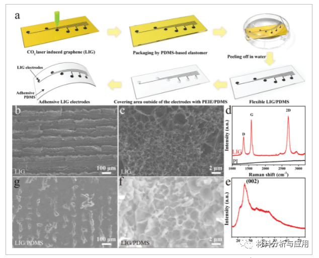 北航《Adv Mater Technol》： PDMS支撑石墨烯表皮干电极，用于可穿戴心电图监测
