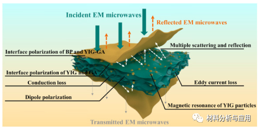 同济大学《Carbon》：石墨烯气凝胶/巴克纸复合材料具有优异的电磁屏蔽性能