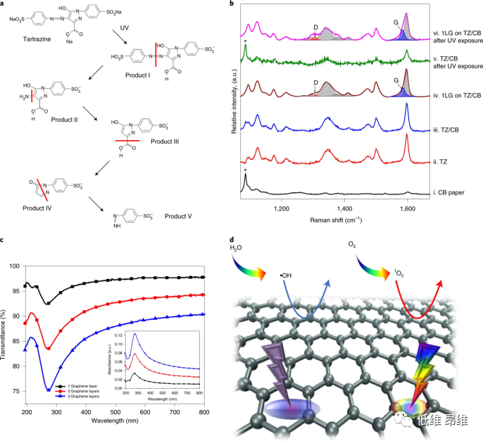 Nat. Nanotechnol.：用石墨烯面纱防止艺术品褪色