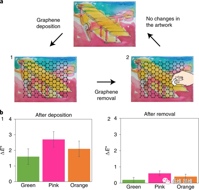 Nat. Nanotechnol.：用石墨烯面纱防止艺术品褪色