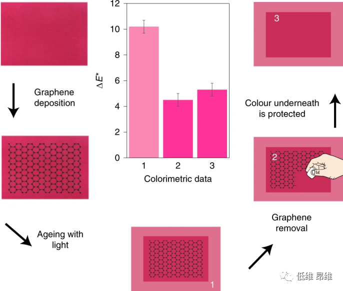 Nat. Nanotechnol.：用石墨烯面纱防止艺术品褪色