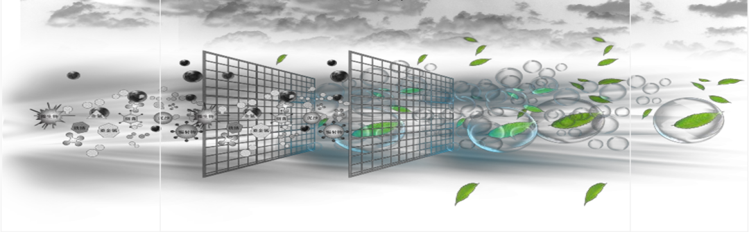 华侨大学-海森林（厦门）共建研发中心