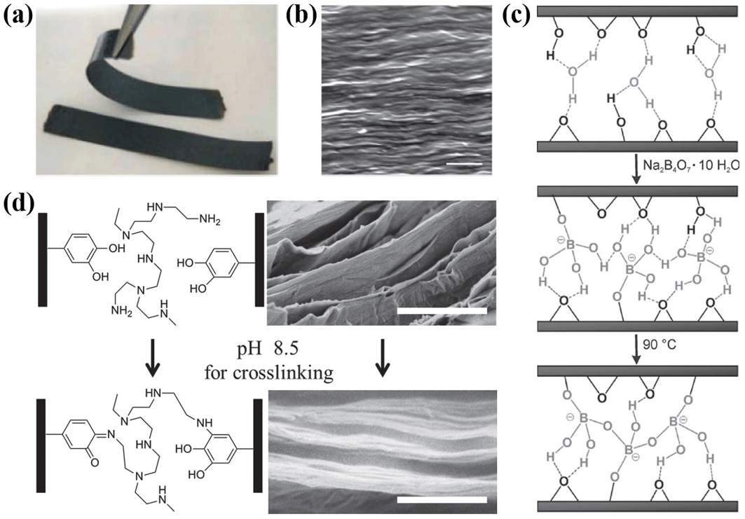 国家纳米科学中心王斌团队综述：层间共价石墨烯材料