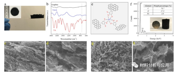 香港科技大学《Mater Lett》：环保合成铁离子-多酚-石墨烯气凝胶，用于太阳能蒸汽发电
