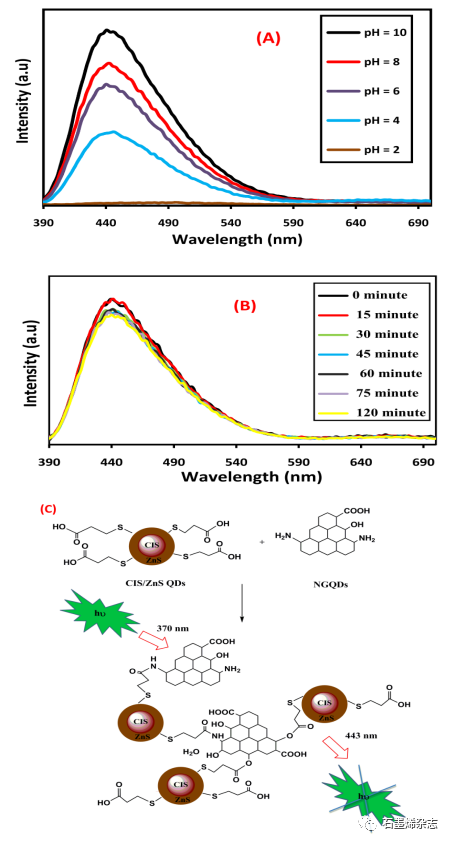 埃及SRTA-City 的Marwa Khalil课题组--CuInS/ZnS和氮掺杂石墨烯量子点的纳米复合材料用于胆固醇传感