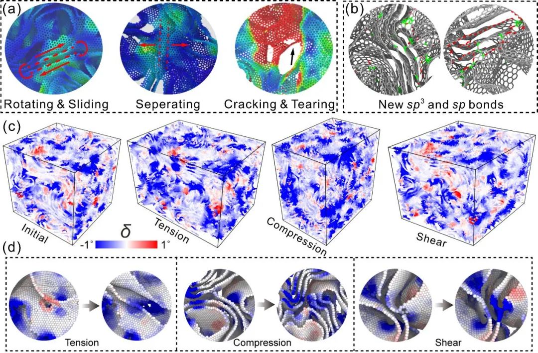 中国科大吴恒安教授团队《Nano Letters》：三维无序石墨烯网络微观力学图景