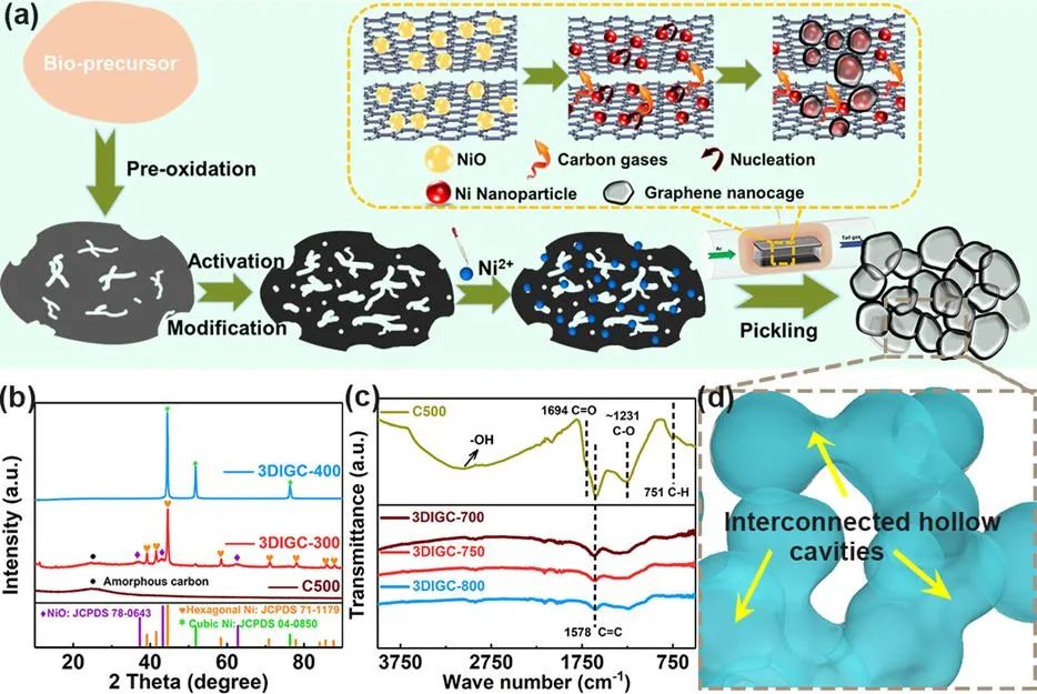燕大李雪爱/王海燕和西工大吴宏景《Adv. Opt. Mater.》: 结构工程构筑三维连通石墨烯纳米笼用于高效微波吸收