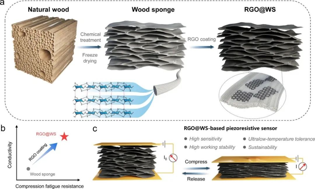 木材所王小青团队《ACS Sustain. Chem. Eng.》：高弹性、耐疲劳石墨烯包裹的层状木材海绵用于高性能压阻传感器